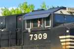 NS 7309 - window love never hurts